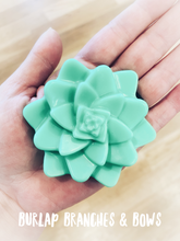 Load image into Gallery viewer, Succulent Soaps
