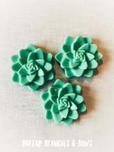 Load image into Gallery viewer, Succulent Soaps
